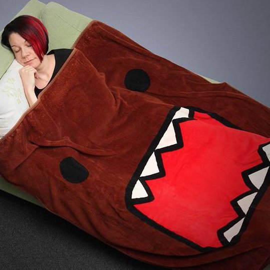 Domo Blanket