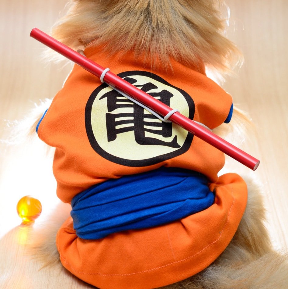 Dog Cosplay Outfits