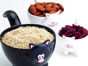Cat Measuring Cups