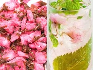 Cherry Blossom Tea