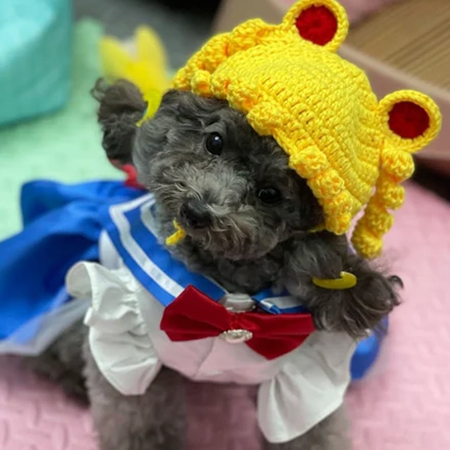 Sailor Moon Dog Costumes