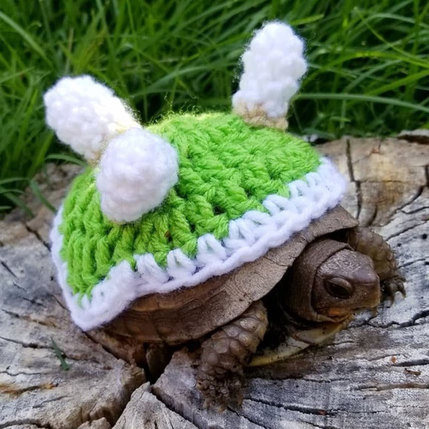 Bowser Tortoise Outfit