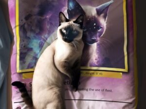 Custom Pet Pokemon Card Blankets