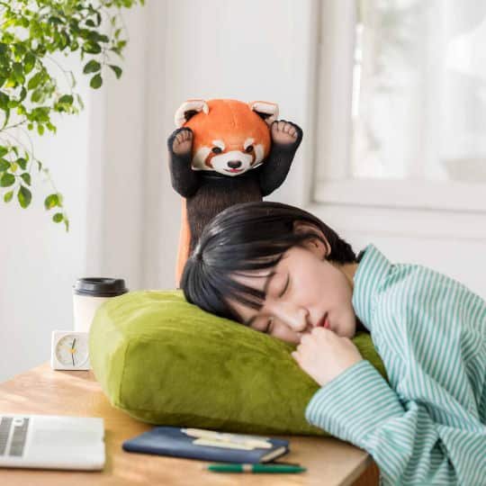Threatening Red Panda Cushion